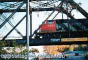 CN #9542